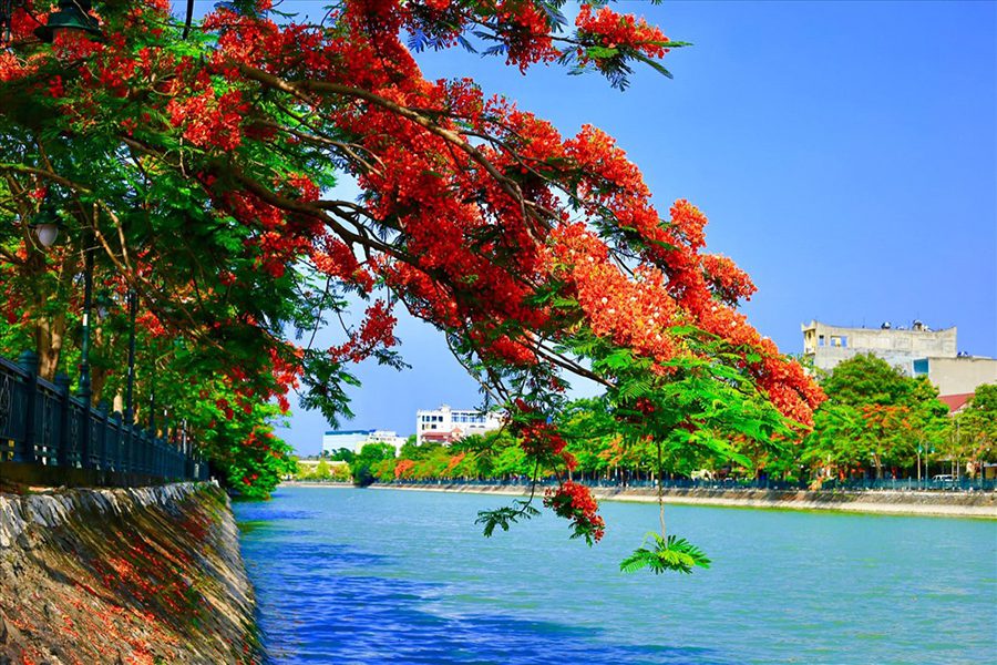 Hồ Tam Bạc - địa điểm chụp ảnh gia đình đẹp tại Hải Phòng
