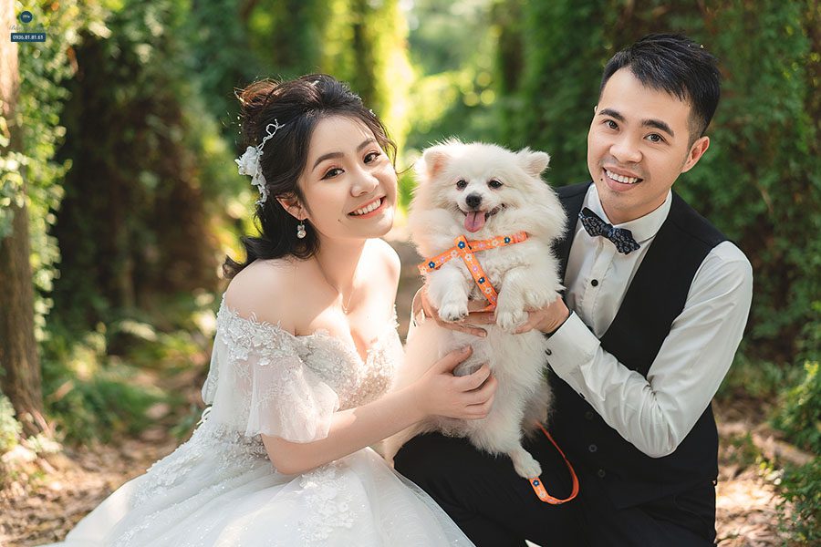 Tận dụng ánh sáng tự nhiên khi chụp ảnh cưới cùng thú cưng 