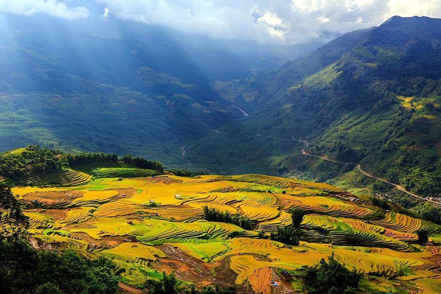 Địa điểm chụp ảnh cưới SaPa - Thung lũng Mường Hoa