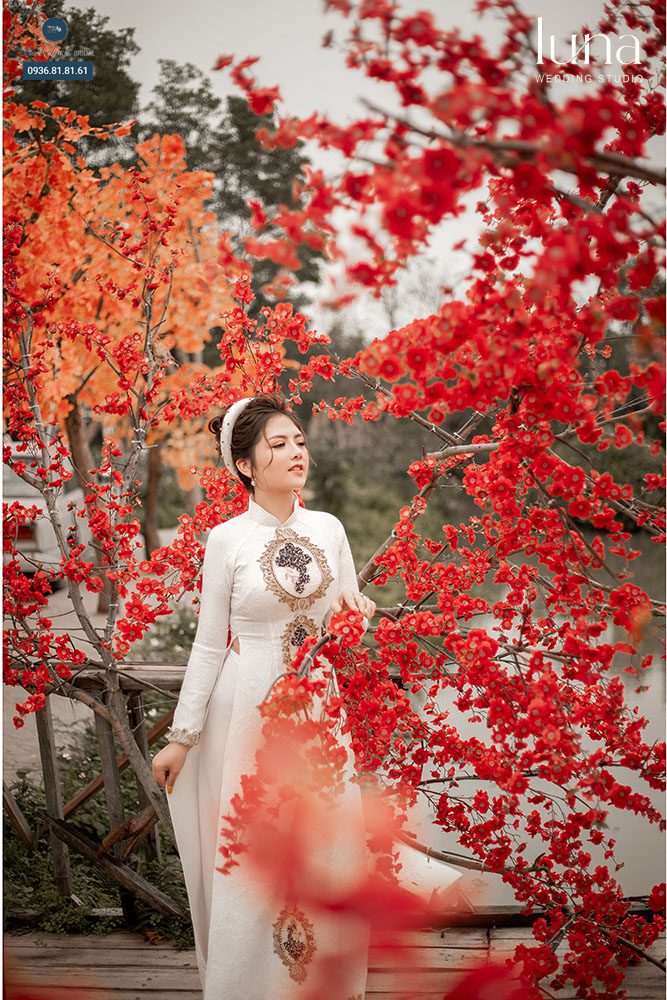 Lựa chọn concept chụp ảnh Tết với áo dài 